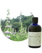 │廃番│フレーバーライフ エッセンシャルオイル 薄荷(ハッカ) 100ml