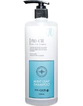 ┃完売┃千代田化学 デラクシオ プロCMC ミントリーフシャンプー 500ml