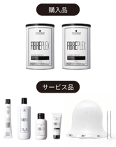 ┃数量限定┃シュワルツコフ ファイバープレックス ハイライト キャンペーンセット 2026