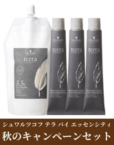 ┃数量限定┃シュワルツコフ テラ バイ エッセンシティ 秋のキャンペーンセット Sep 2026 ※対象のヘアカラー12本購入で0円になります