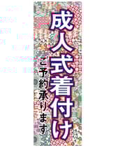 のぼり旗 SNR/427 1枚