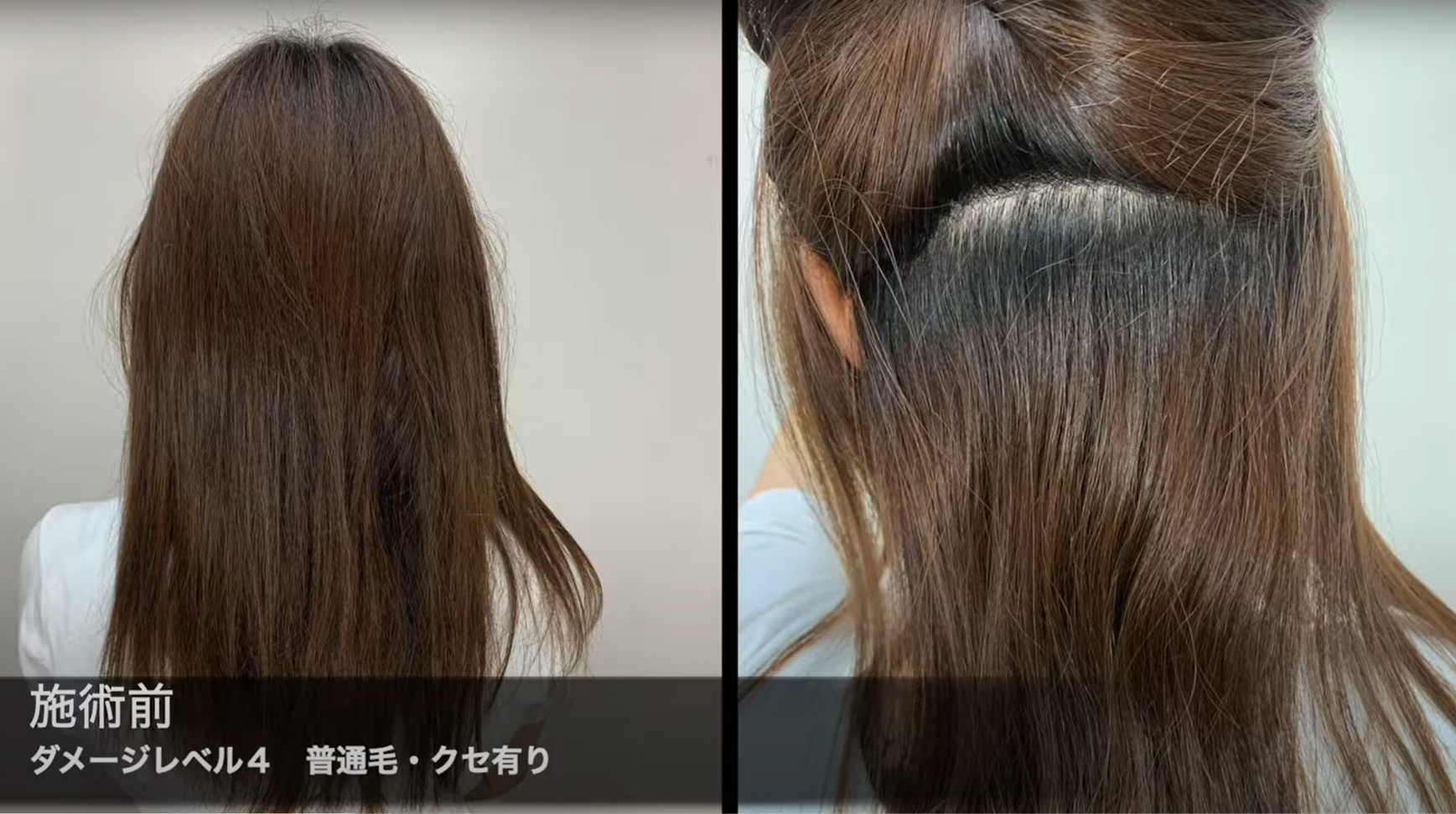 モデル
■ダメージレベル：4
■普通毛・くせ毛