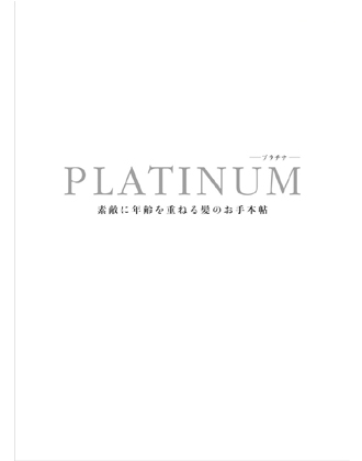 ┃完売┃アイメディア HAIR MENU MADAM(ヘアメニューマダム) プラチナ2014 2冊セット