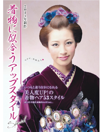 ┃完売┃アイメディア 着物に似合うアップスタイル 2014年(2冊セット)
