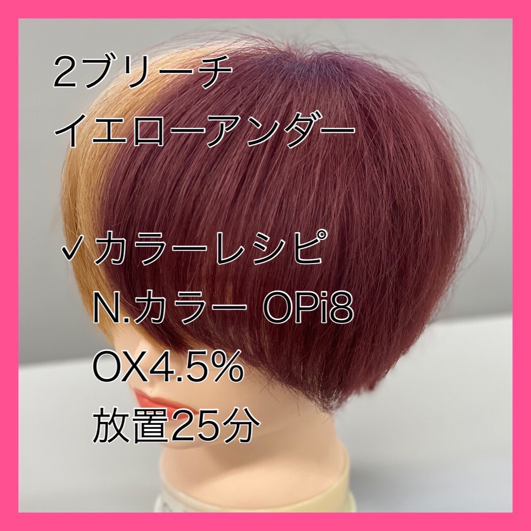 楽天市場】ナプラ n．エヌドット 業務用 ヘアカラーの通販