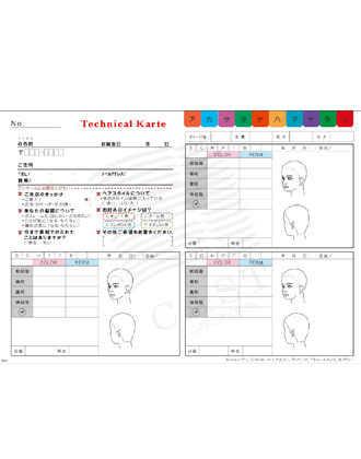 キャスト 美容カルテ用紙 B 250枚