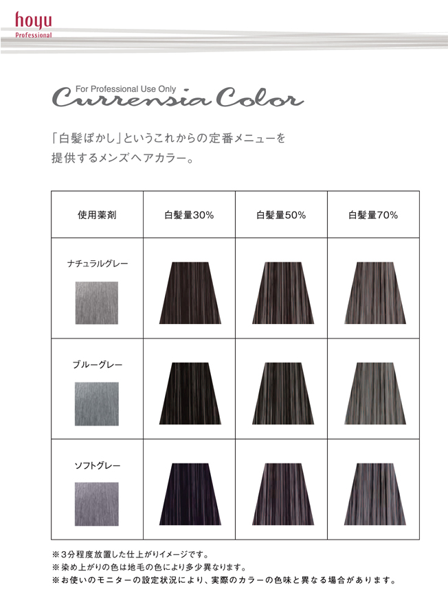 ホーユー カレンシアカラー 白髪ぼかし ナチュラルグレー 80gの業務用通販サイト B Zone