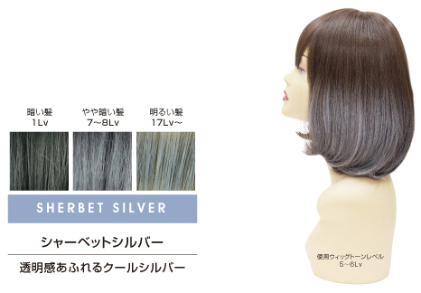 アレスカラー パウダースプレー シャーベットシルバー 60gの業務用通販サイト B Zone