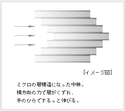 資生堂,ステージワークス,トゥルーエフェクター