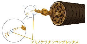 シュワルツコフ,BCクア,カラーセーブ