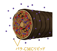 シュワルツコフ,BCクア,カラーセーブ