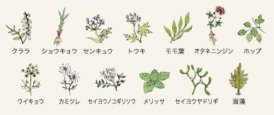 ミルボン オルディーブ ボーテ シフォンライン