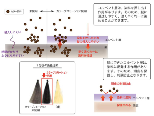 リトルサイエンティスト ワクワクの種 カラープロモーション