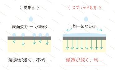 ナンバースリー,フィレディカ