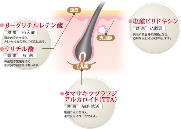 中野製薬,ハカノ,フォリッジ,スキャルプ