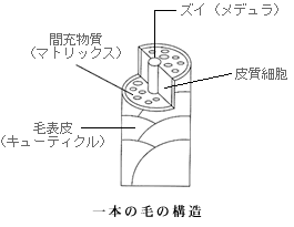 香栄化学,インターロック