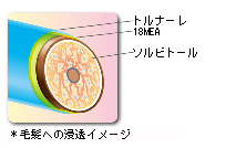 モルトベーネ LASHE(ラシェ)