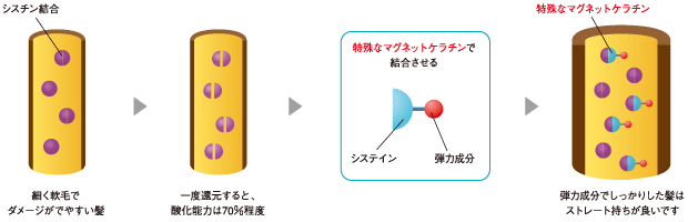 香栄化学 リーネア