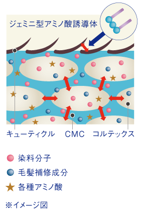 中野製薬,ナカノ,キャラデコ,ミュゼリア