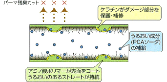 中野製薬,ナカノ,プロスタント