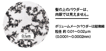 資生堂 ステージワークス スパイキーブースター