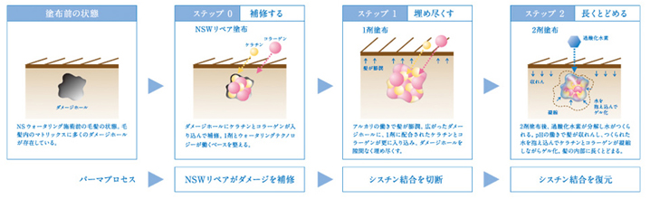 シュワルツコフ ナチュラルスタイリング ウォーターリング