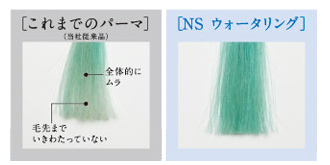 シュワルツコフ ナチュラルスタイリング ウォーターリング