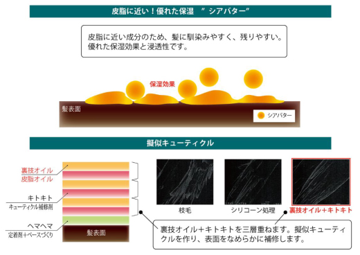 リトルサイエンティスト ワクワクの種 マネージャーの裏技オイル