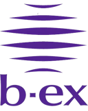 b-ex(ビーエックス)